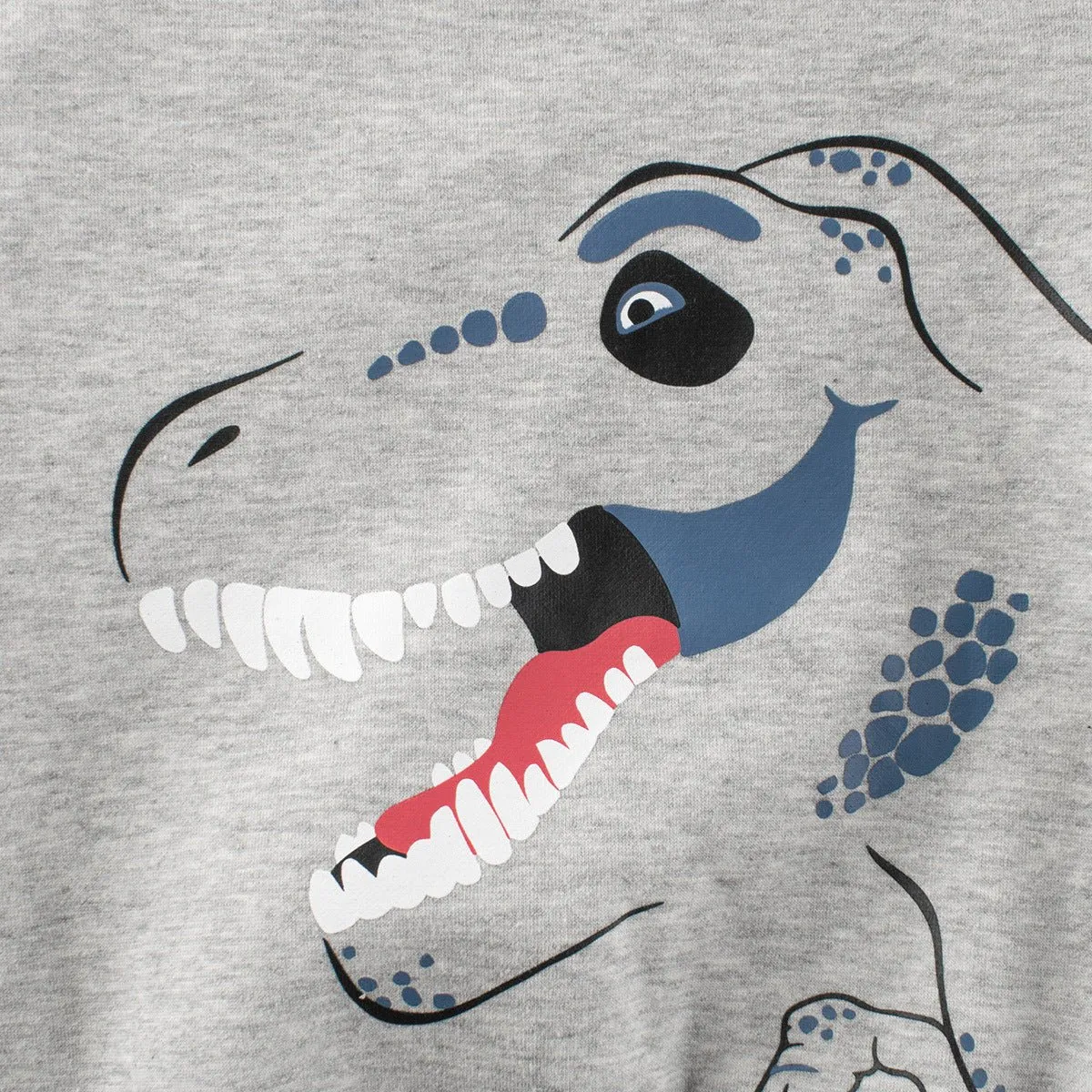 Toddler/Kid Boy Dinosaur Print Gray Sweatshirt